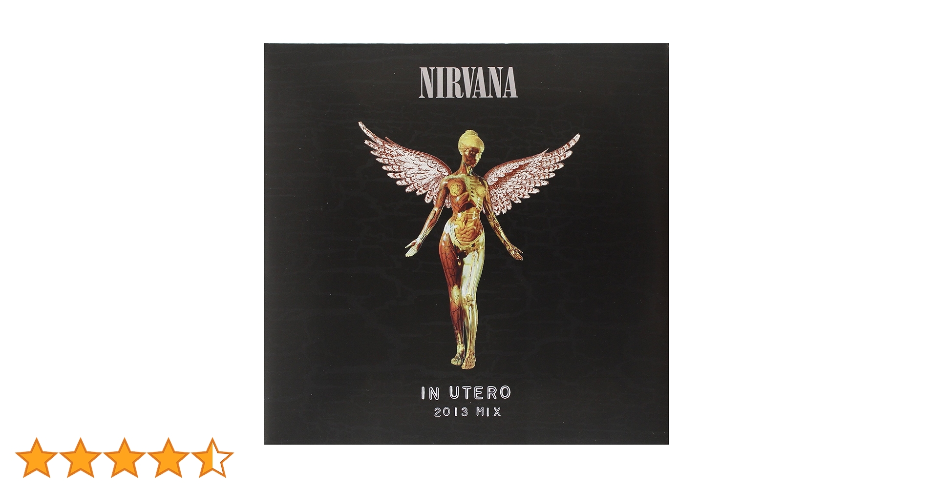 ミュージシャン NIRVANA IN UTERO ANVIL MEDIUM ミュージシャン NIRVANA IN UTERO ANVIL MEDIUM Nirvana - In